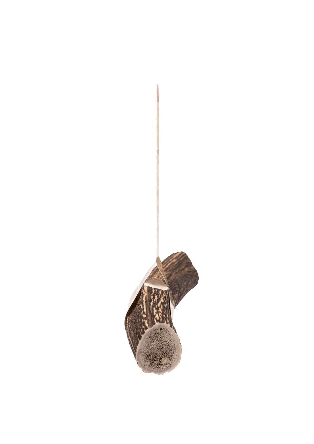 Deer Antler Chew - Medium 3